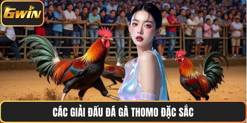 Các giải đấu đá gà Thomo đặc sắc