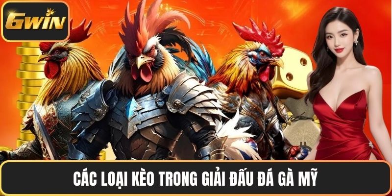 Các loại kèo trong giải đấu đá gà mỹ