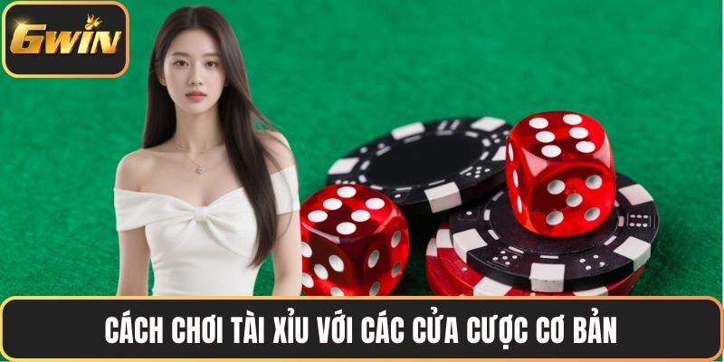 Cách chơi tài xỉu với các cửa cược cơ bản