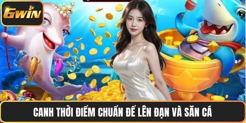 Canh thời điểm chuẩn để lên đạn và săn cá