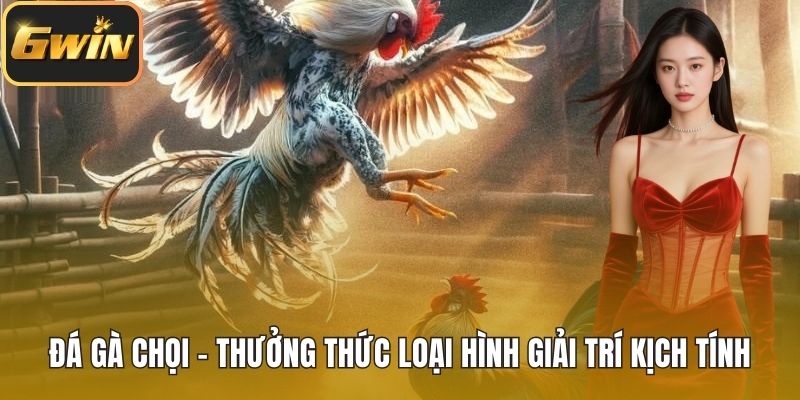 Đá gà chọi