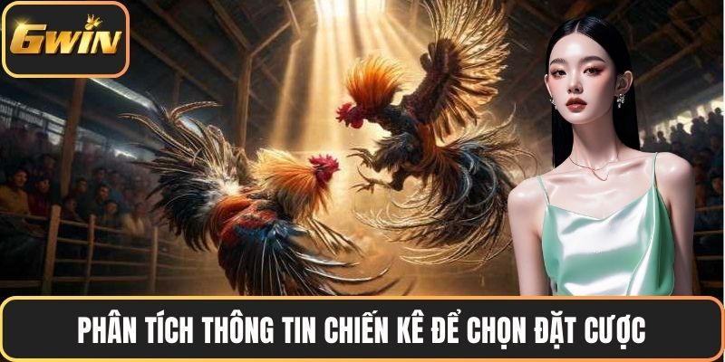 Phân tích thông tin chiến kê để chọn đặt cược