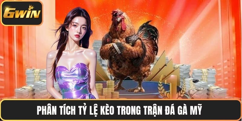 Phân tích tỷ lệ kèo trong trận đá gà mỹ