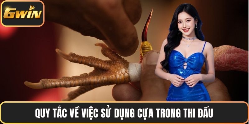 Quy tắc về việc sử dụng cựa trong thi đấu