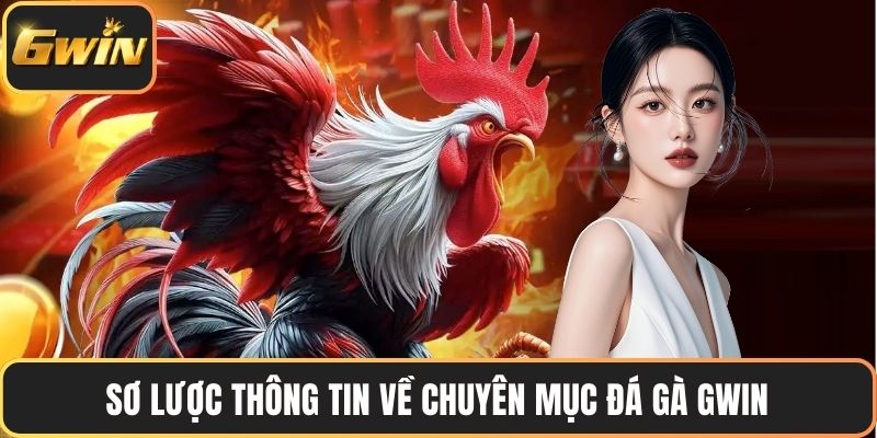 Sơ lược thông tin về chuyên mục đá gà GWIN
