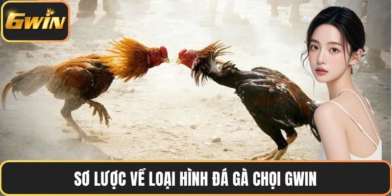 Sơ lược về loại hình đá gà chọi GWIN